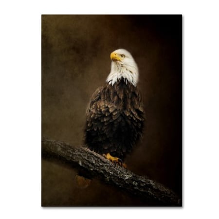 Trademark Fine Art Jai Johnson 'Portrait Of An Eagle' Canvas Art, 14x19 ALI13767-C1419GG
